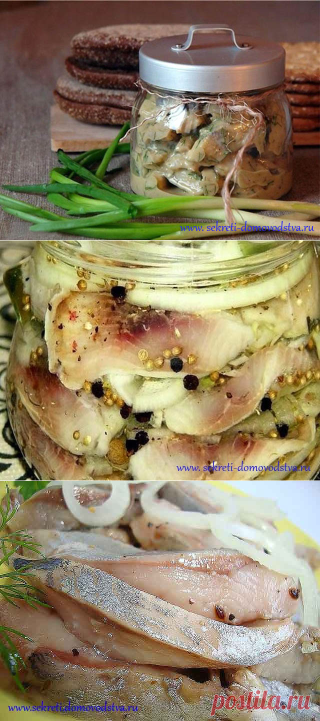Сельдь соленая в домашних условиях — 14 очень вкусных рецептов