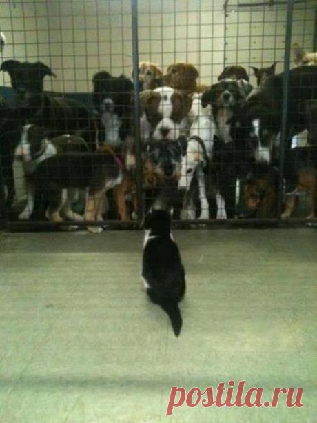 Ну что, доигрались? А я Вас предупреждала...