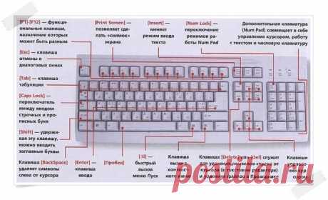(52) Одноклассники