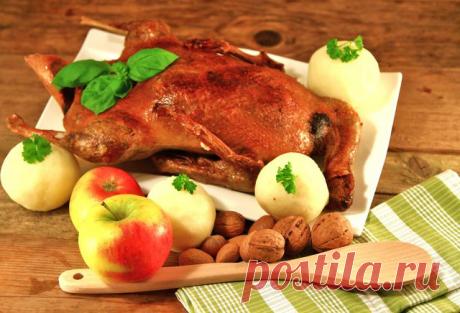 как приготовить гуся