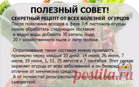 #таблица