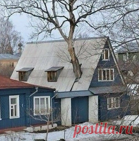 Деревенские приколы. Лучшая подборка! / Писец - приколы интернета