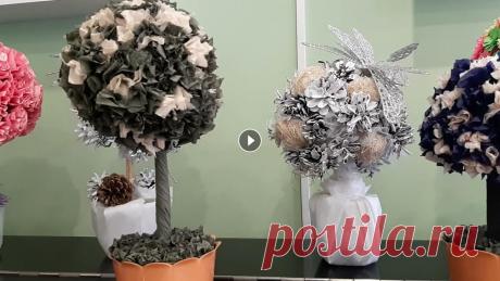 Старшая группа Топиарии МКУ ДК Юность Старшая группа Топиарии МКУ ДК Юность...