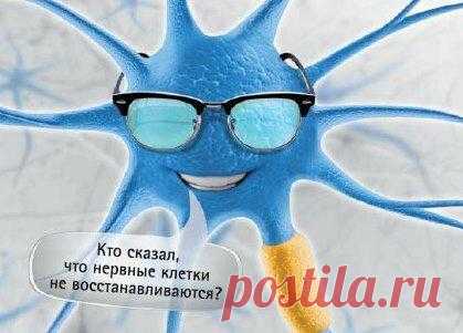 Учёные назвали 4 психологических фактора, благодаря которым нервные клетки восстанавливаются
Здравствуйте, уважаемые читатели! Расхожую фразу «Нервные клетки не восстанавливаются» современные ученые всё чаще опровергают и находят этому вполне логичное объяснение. Давайте выясним, благодаря чему же нервные клетки могут сохраняться и восстанавливаться в любом возрасте? Читайте с удовольствием, не...
Читай пост далее на сайте. Жми ⏫ссылку выше