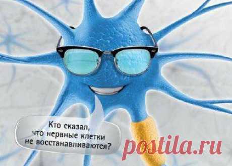 Учёные назвали 4 психологических фактора, благодаря которым нервные клетки восстанавливаются
Здравствуйте, уважаемые читатели! Расхожую фразу «Нервные клетки не восстанавливаются» современные ученые всё чаще опровергают и находят этому вполне логичное объяснение. Давайте выясним, благодаря чему же нервные клетки могут сохраняться и восстанавливаться в любом возрасте? Читайте с удовольствием, не...
Читай пост далее на сайте. Жми ⏫ссылку выше
