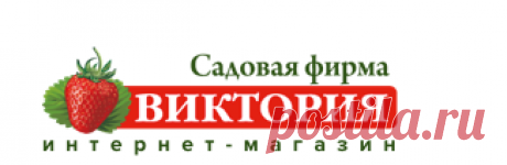 Саженцы / Земляника / Доставка по всей России