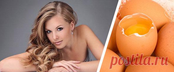 Яйцо для волос и водка от выпадения: видео-инструкция по уходу своими руками, лечение, как втирать, чем полезно, перепелиные яички, польза белка, фото и цена