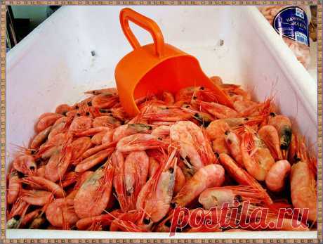 креветки охлаждённые