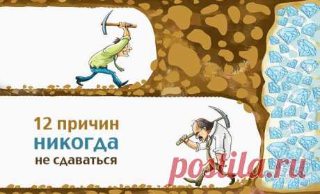 Никогда не сдавайтесь! — Всегда в форме!