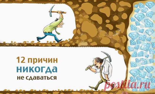 Никогда не сдавайтесь! — Всегда в форме!