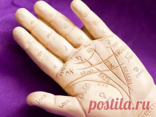 Хиромантия: линии на руке и их значение Линии на руке могут рассказать о человеке многое, в том числе и его будущее. Следует ознакомиться со значением этих линий, чтобы узнать свою судьбу и избежать неприятностей.