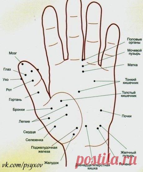 Волшебные точки на теле человека | Human psychology