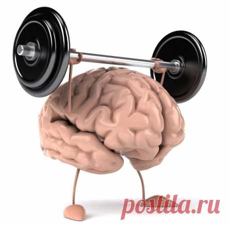 Как заставить мозг работать лучше с помощью упражнений