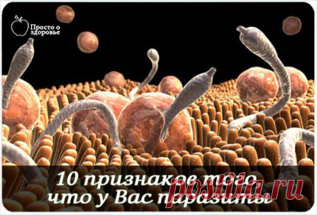 10 признаков того, что у Вас паразиты