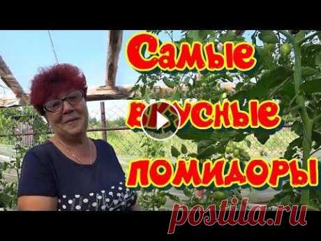 10 самых вкусных высокорослых сортов томатов. Наши интернет-магазины –...