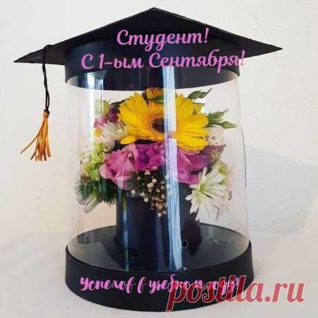 Студенты, пусть учебный год
Вам много знаний принесет!