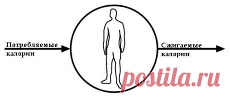 (+1) тема - Концепция воздушного шарика — новый способ похудеть | Диеты со всего света