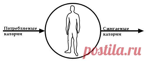 (+1) тема - Концепция воздушного шарика — новый способ похудеть | Диеты со всего света