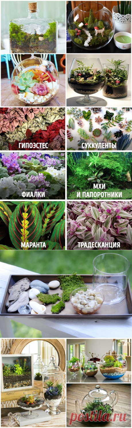 Как сделать сказочный мини-сад своими руками и добавить 100 пунктов к уюту