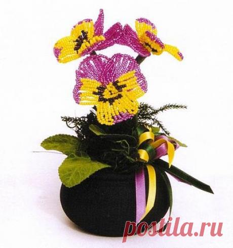 Одноклассники