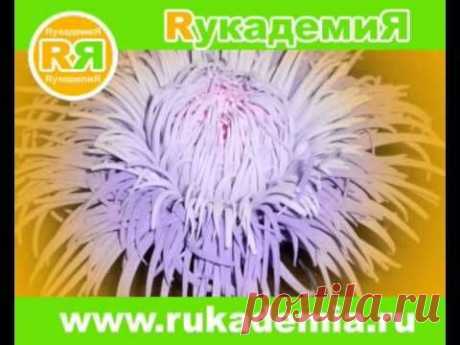 мастер класс в Краснодаре Цветы из фоамирана Рукоделие на Кубани - www.fassen.net-Видео сёрфинг