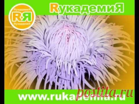 мастер класс в Краснодаре Цветы из фоамирана Рукоделие на Кубани - www.fassen.net-Видео сёрфинг