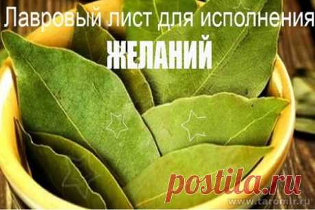 Лавровый лист в кошельке: сильный талисман для привлечения денег