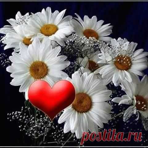 (45) Facebook