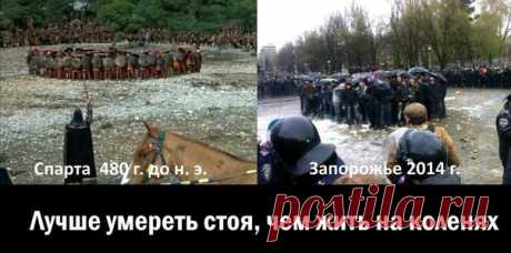 Защитники Отечества: 300 запорожцев против фашистской своры «Правого сектора»