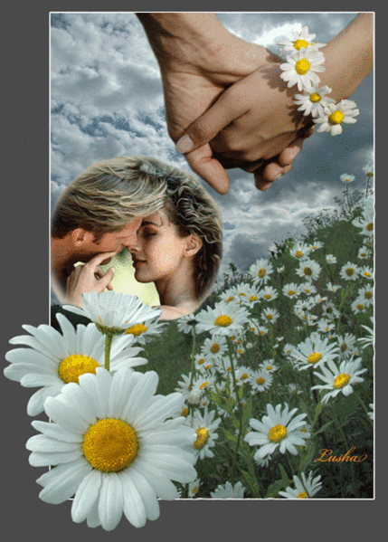 НАТАШКА - РОМАШКА !