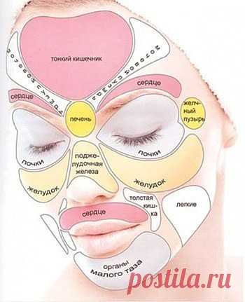Как «прочитать» свое лицо.

Каждая часть лица отвечает за функционирование определенного внутреннего органа.

Зоны отражения внутренних органов на лице.

* Высыпания (прыщи, угри, красная сыпь) появились на щеках, скорей всего, у вас проблемы с легкими — правая щека является отражением правого легкого, левая щека – левого.

* Если прыщи начали выскакивать на кончике носа и над верхней губой, возможно у вас болит сердце.

* Переносица отражает отклонения в работе поджелудоч...