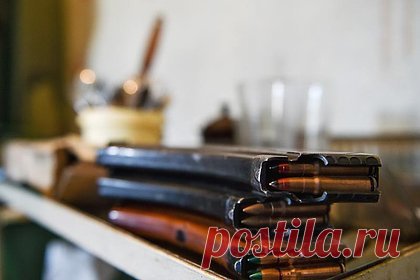 В подмосковном доме предпринимателя нашли склад оружия и боеприпасов. В подмосковной Дубне правоохранители нашли склад оружия и боеприпасов в доме 47-летнего индивидуального предпринимателя. 31 октября у бизнесмена изъяли пистолет Макарова, пистолет-пулемет системы Шпагина, винтовку «Тигр», охолощенный автомат Калашникова, карабин «Сайга» и два ружья.