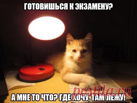 Лена Иванова