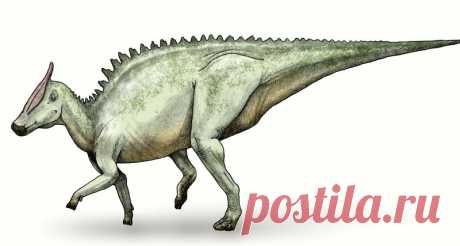 Редкий вид человеческого рака нашли на хвосте динозавра Для ученых давно не секрет, что многие животные также могут болеть раком, однако у каждого вида, обычно, свои типы онкологии. Тем удивительнее было для