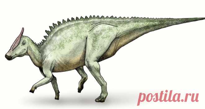 Редкий вид человеческого рака нашли на хвосте динозавра Для ученых давно не секрет, что многие животные также могут болеть раком, однако у каждого вида, обычно, свои типы онкологии. Тем удивительнее было для