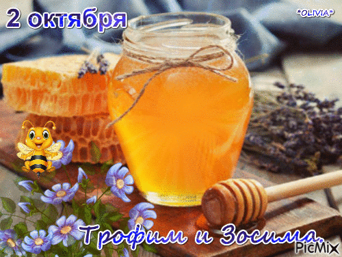 Я тебе желаю великолепного настроения, лучезарных улыбок, шикарных эмоций и восхитительных событий. Радуйся жизни, наслаждаясь каждым мигом. Открытки на праздник Трофима и Зосимы.