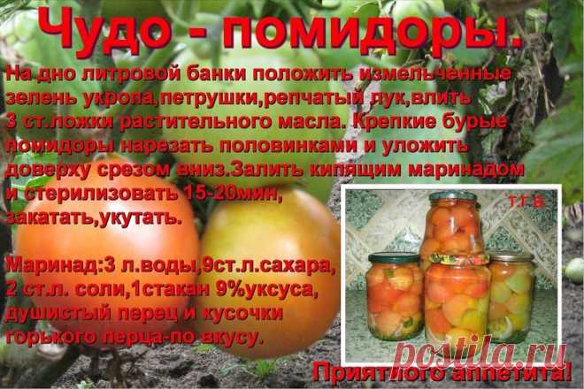 погребок | 37 фотографий