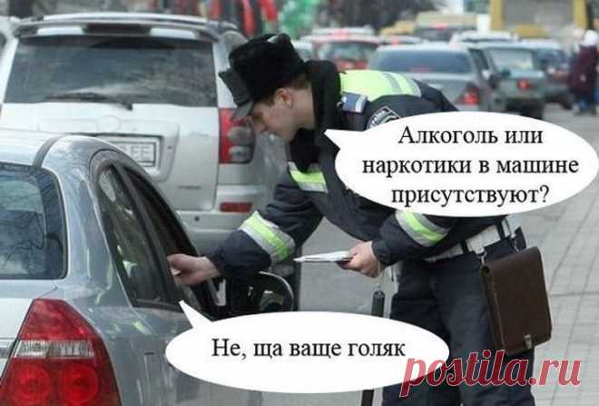 А вы сегодня улыбались? Подборка прикольных картинок для хорошего настроения)) - 15 Сентября 2014 - Наша планета.Новости экологии