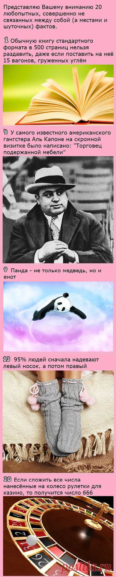 20 интересных фактов | Полезные советы