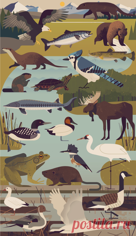 Owen Davey | Folio illustration agency