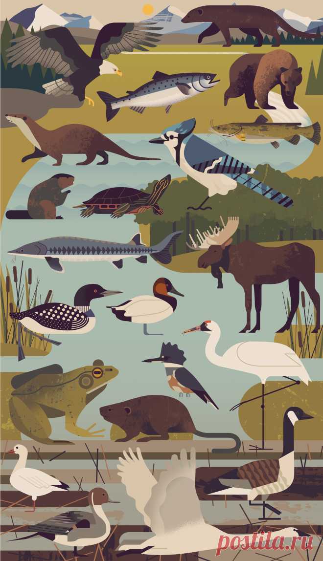 Owen Davey | Folio illustration agency