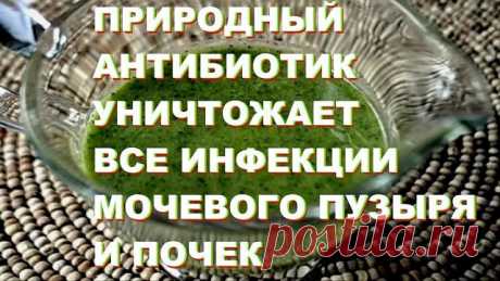 (14) Одноклассники