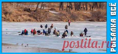 Окунь зимой. Где искать окуня зимой. - fishing-all.ru