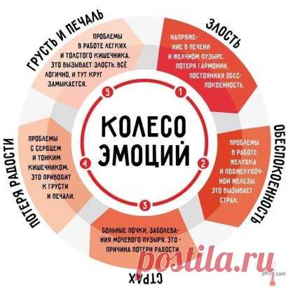 КАК ЭМОЦИИ ВЛИЯЮТ НА НАШЕ ЗДОРОВЬЕ?
То, что ты чувствуешь, может тебя убить!
Рассмотри внимательно это «Колесо эмоций». Китайцы считали, что причина всех хворей скрыта в наших переживаниях… Мне кажется, это и правда так!
Сбои в работе нервной системы, чрезмерная нервозность и раздражительность, стрессы и постоянные расстройства — убийцы иммунитета человека.
 Стоит помнить о том, что в нашем тел