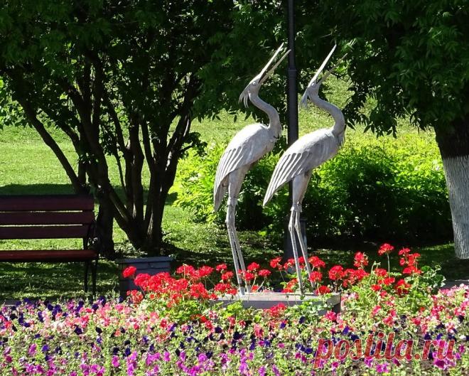 Цапли
Иваново