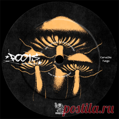 Carvalho(BR) - Fungo | 4DJsonline.com