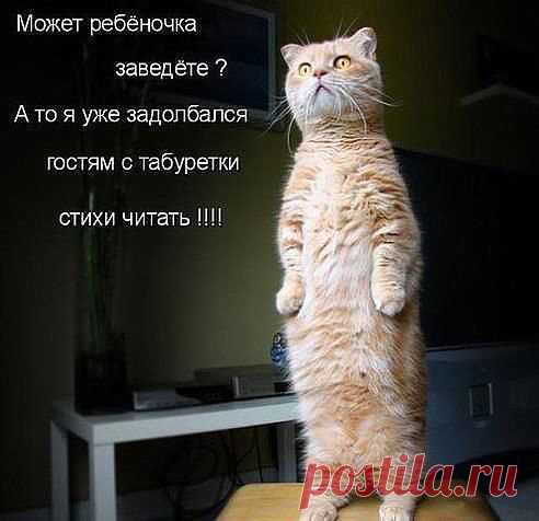 Одноклассники