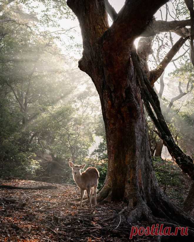 i (1080×1350)