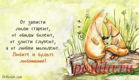 (+1) тема - Одной фразой. Часть 2 | Полезные советы