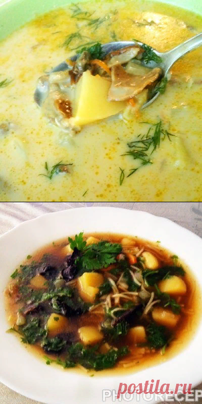 Вкусный супчик из сушеных грибов. 4 рецепта.